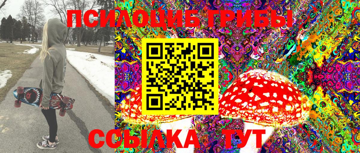 Псилоцибиновые грибы мицелий Ульяновск