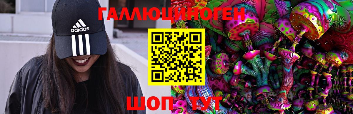 Ульяновск  Галлюциногенные грибы прущие грибы  Вход с VPN 